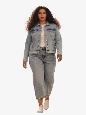 Edgely High Waist Slim Straight Ankle Distressed Silver Dot Jeans Plus Size 22W